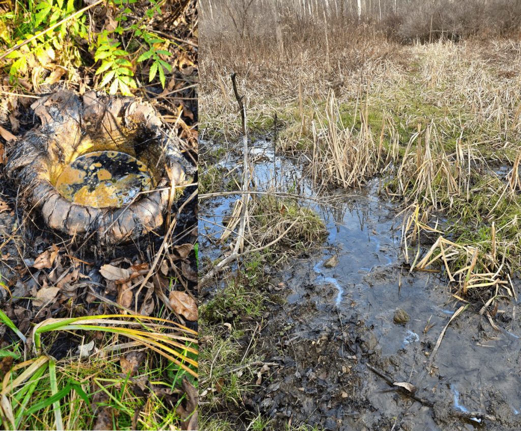 Field observations identified intermittent gas emissions and hydrocarbon staining at the water surface within the wellbore, posing a significant threat to the environment and public health.